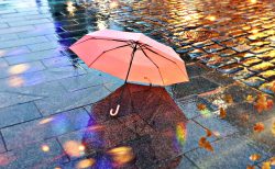 雨と傘